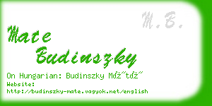 mate budinszky business card